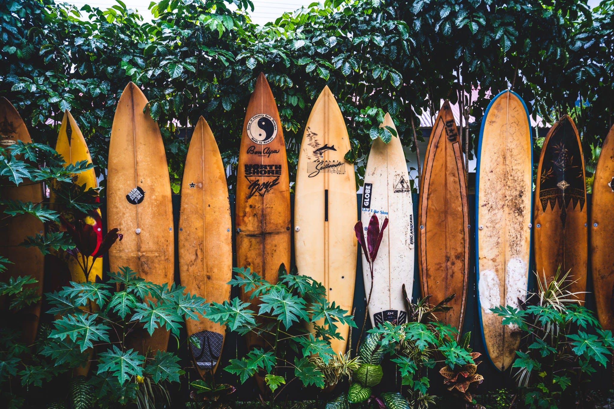 Made In California Surf Culture